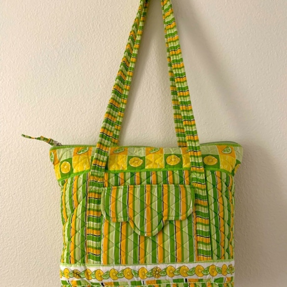 Tanya Lee purse